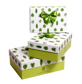 Darčeková krabica Lístky zelená S