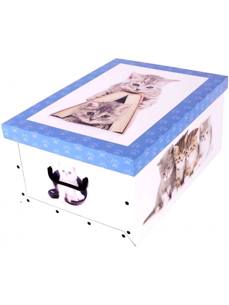 Darčeková krabica Mačičky MAXI